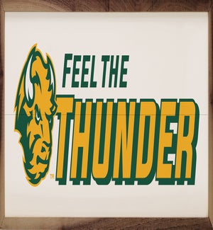 Feel The Thunder Bison